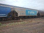 RUMO HPT-031379-3